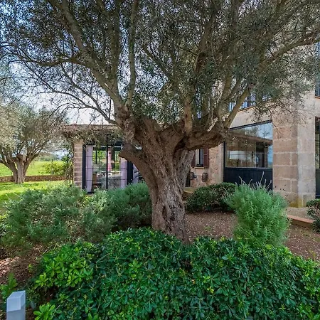 Villa Relax En El Campo Con Piscina En Mallorca