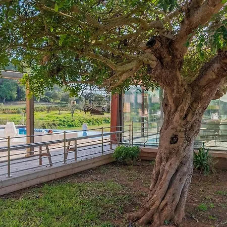 Villa Relax En El Campo Con Piscina En Mallorca Sineu (Mallorca)